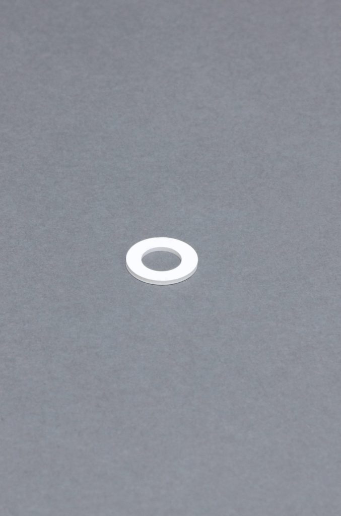 16120-4 - Check Valve Gasket
